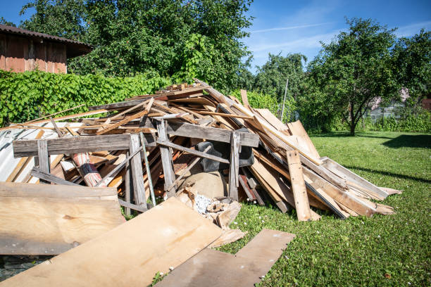 Best Carpet Removal and Disposal  in Wray, CO